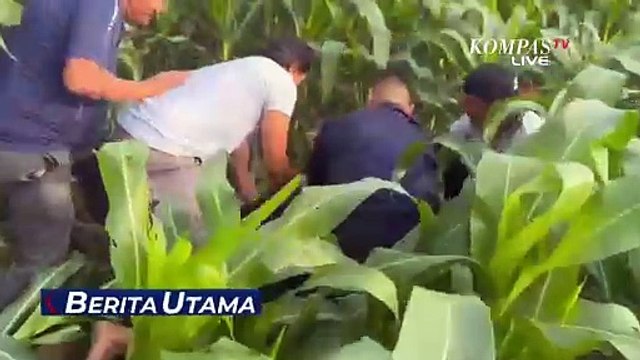 Pria di Medan Nekat Bunuh Selingkuhan Istri dengan Senjata Tajam