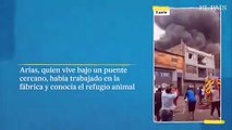 PERÚ: Rescata a 25 perros de un incendio lanzándolos de un techo