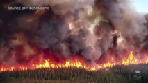 #OMG: Los incendios forestales arrasan Canadá y envían humo a EE.UU.