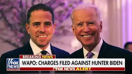 Download Video: Hunter Biden acepta declararse culpable de cargos fiscales y de posesión de armas: Informe