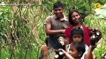 Esto fue lo que COMIERON los NIÑOS perdidos en la selva durante 40 días
