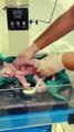 Doctor salva la vida a un bebé recién nacido héroes sin capa