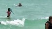 Tiburon en playas asusta a turistas salen con panico de la playa