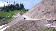 Impactante video: Oso se acerca sigilosamente a los turistas y lo que ocurre después te sorprenderá