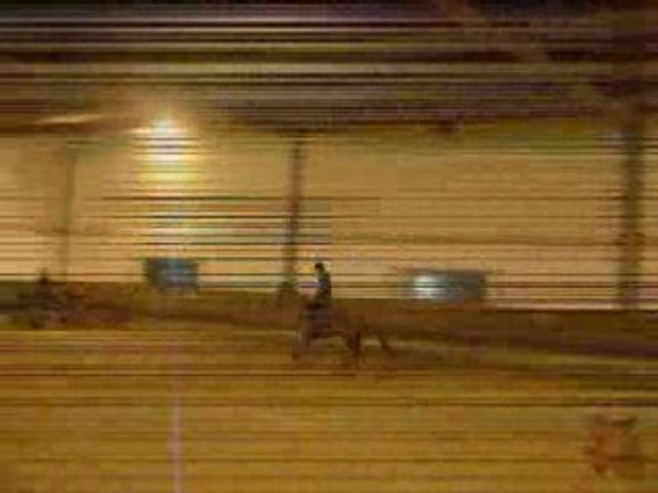 cso saut d'obstacle avec little mary