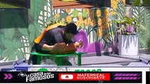 LOS FAMOSOS CUMPLEN LA PRUEBA SEMANAL Y GANAN EL PRESUPUESTO! LA CASA DE LOS FAMOSOS MEXICO EN VIVO