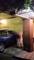 #VIDEO: hombre es sorprendido golpeando a una mujer afuera de La Casona de Morelos en Cuernavaca.