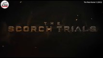 Maze Runner: The Scorch Trials (2015) Advanced Zombie World 2 ｜ Hindi Voice Over ｜ Film Explained in Hindi⧸Urdu Summarized हिन्द