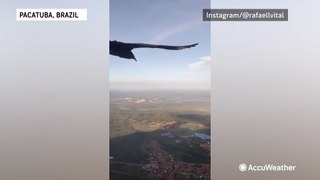 Paraglider gains a feathery passenger in Brazil