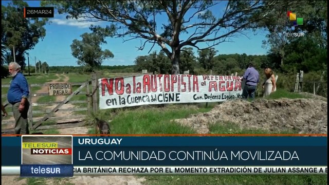 Organizaciones medioambientales de Uruguay denuncian al gobierno por promover destrucción de ecosistemas naturales
