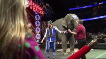 Este circo prescinde de animales, payasos y maestros de ceremonias