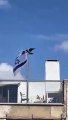 Cuervos presagian la caída de Israel luego de atacar la bandera del pais