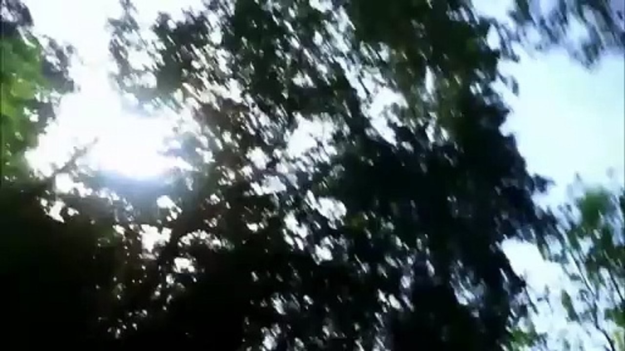 Le Scaphandre et le Papillon Bande-annonce (EN)