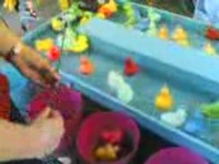 Pêche ô canards