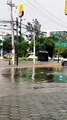 #VIRAL: Mientras tanto en Guadalajara los Tinacos salen a pasear bajo la lluvia