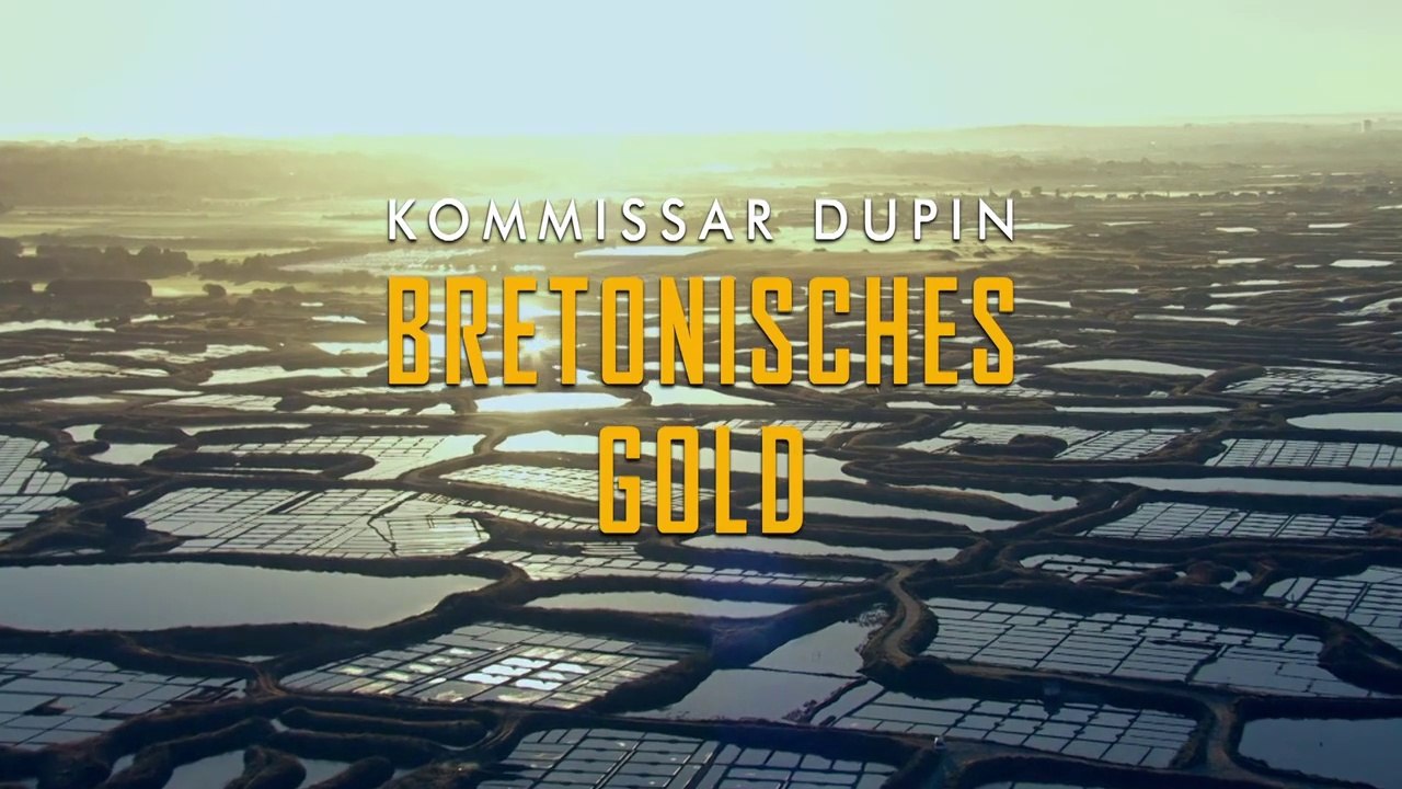 Kommissar Dupin -03- Bretonisches Gold