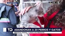 #OMG: Abandonan en jaulas a 17 gatos y un perro en calles de Azcapotzalco