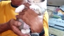 My Oreo