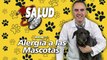 Más Salud. Alergia a las mascotas