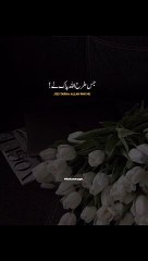 Allah K Siwa Koi Khushiyan dene Wala nai hai ✨❤️