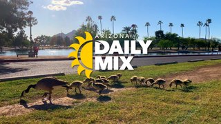 Arizona Daily Mix | March 26, 2024 Episode