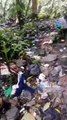 Migrantes COCHINOS: La Selva del Darién llena de ropa, y basura que van dejando los migrantes a lo largo de su travesía.