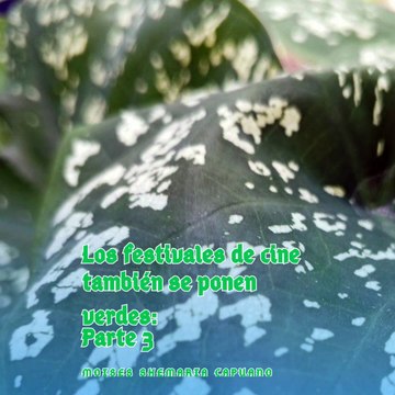 Moises Shemaria Capuano| Otra cosa que impacta al planeta (Parte 3) (Creado por @MoisesShemariaCapuano)