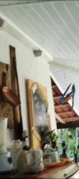 Cozinha se transforma em cena de caos após explosão de panela de pressão; veja vídeo