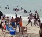 Ladrón roba en una playa de Brasil ciudadanos ayudan a detenerlo