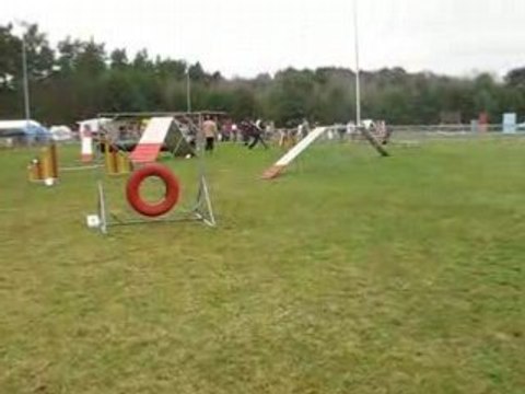 St avold david tara gpf 160308