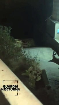 Un cadáver fue localizado al interior de un canal de aguas negras en la colonia Arroyo Hondo