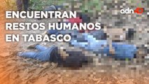 Ahoran van por Tabasco, encuentran hielera con restos humanos