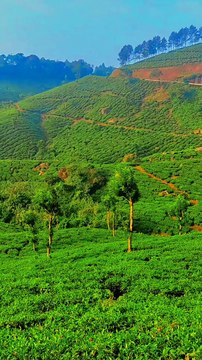 Alone Tamil Whatsapp Status