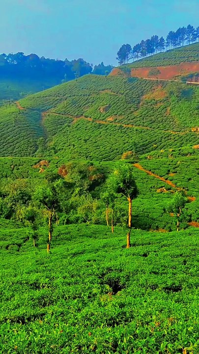 Alone Tamil Whatsapp Status