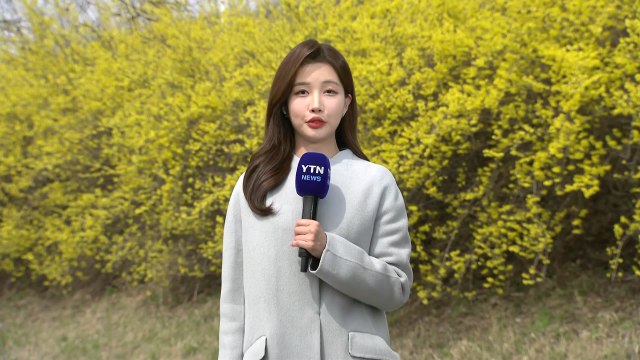 [날씨] 포근한 봄 날씨, 서울 한낮 16℃...일교차 주의 / YTN