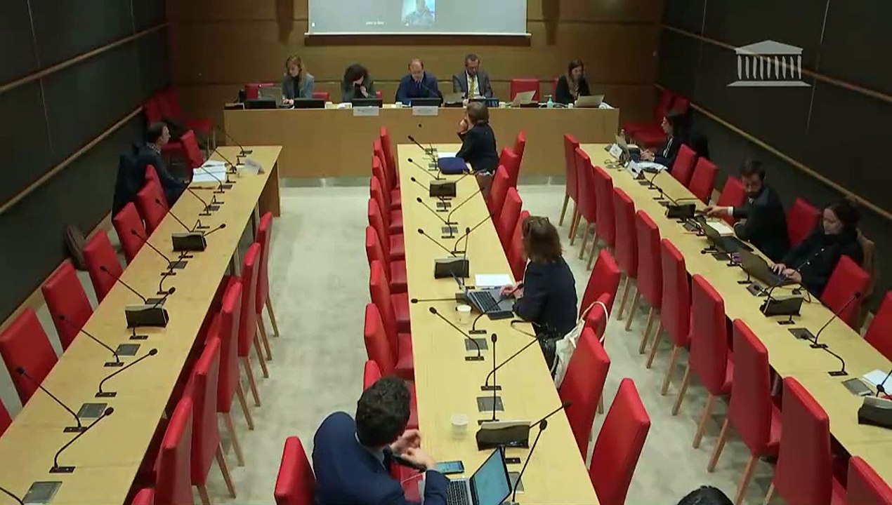 Modèle économique des crèches et qualité de l’accueil des jeunes enfants : Audition de représentants du Syndicat national des médecins de protection maternelle et infantile (SNMPMI)  - Mardi 26 mars 2024