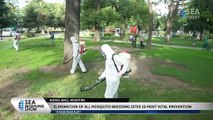 Argentines Hit by Historic Dengue Fever Outbreak