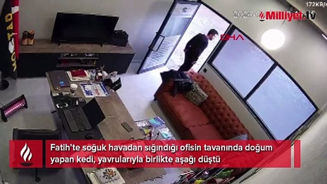 Tavandan ses geldiğini duydu! Hepsi gözünün önünde tek tek düştü