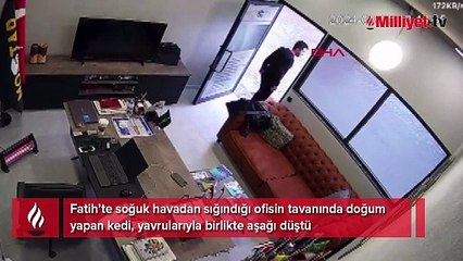 Tavandan ses geldiğini duydu! Hepsi gözünün önünde tek tek düştü