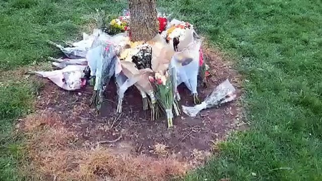 Floral tributes grow outside Doncaster school where Pam Johnson taught