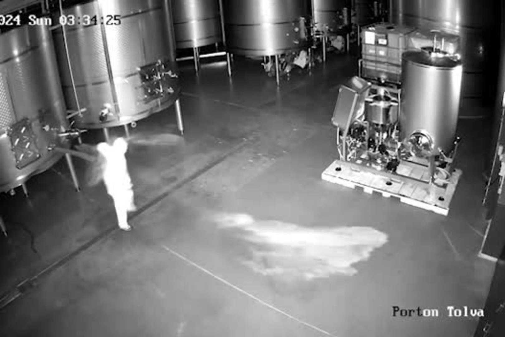 LOOP 3X2  BODEGA DE VINO