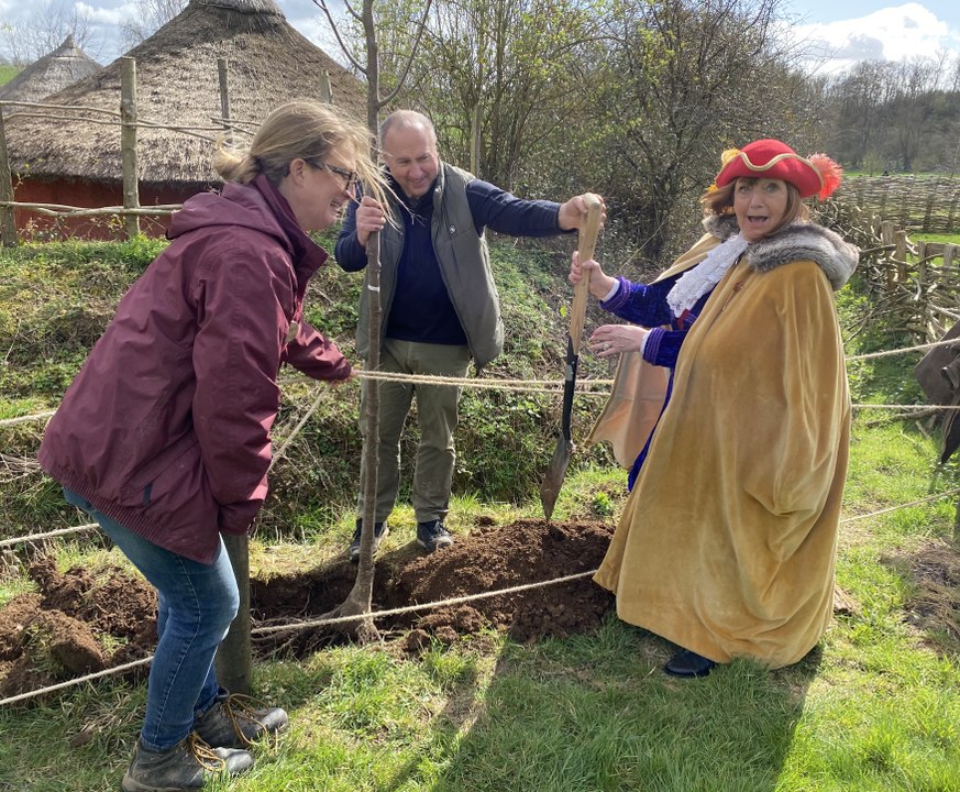 Butser Ancient Farm tree planting