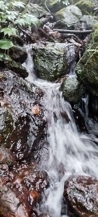 VID_20231001_150721014