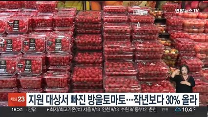 지원 대상서 빠진 방울토마토…작년보다 30% 올라