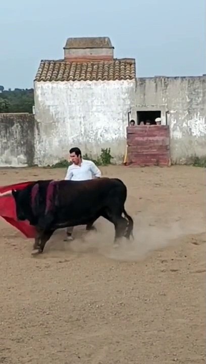 Reyes en el campo