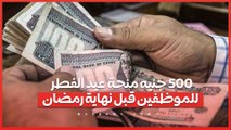 500 جنيه منحة عيد الفطر للموظفين قبل نهاية رمضان.. كيف تستفيد منها؟