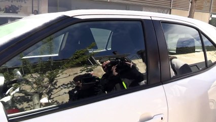 Miraida Puente, abogada de la madre de Dani Alves, evita decir cómo consiguieron la fianza