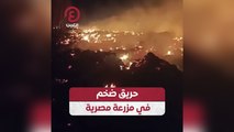 حريق ضخم في مزرعة مصرية