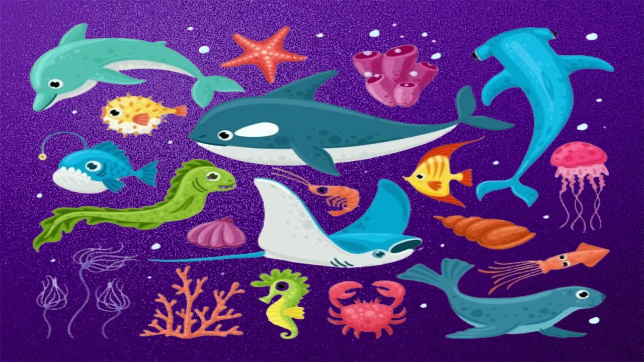 water-animals-jal-mein-rehne-wale-jantu-ke-naam-water-animal-name