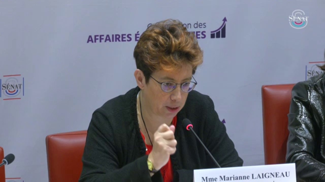 Déploiement des véhicules électriques : "des chiffres vertigineux", souligne la présidente d'Enedis